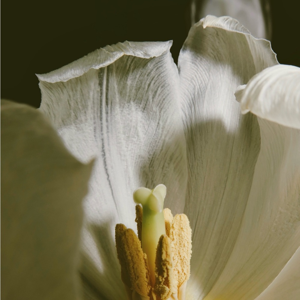 Meet your Posher, Carrie